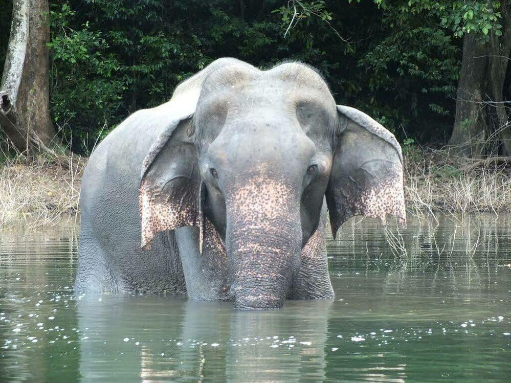 Gal Oya Lodge Galgamuwa  Ngoại thất bức ảnh